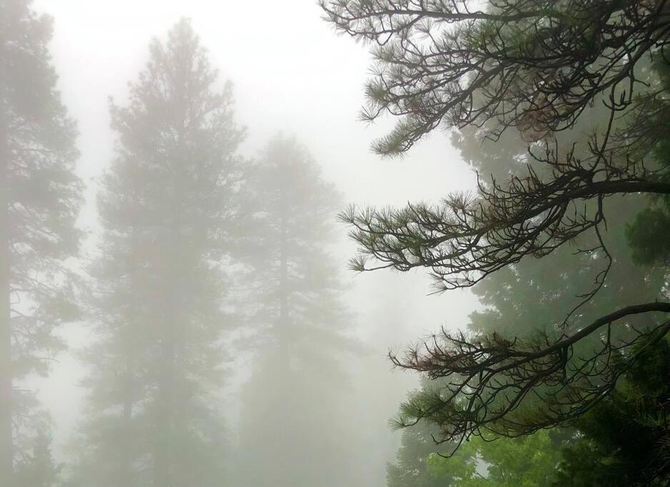 Glimmer Chalet Treetop A-Frame Cabin Lake View Лейк-Эрроухед Экстерьер фото