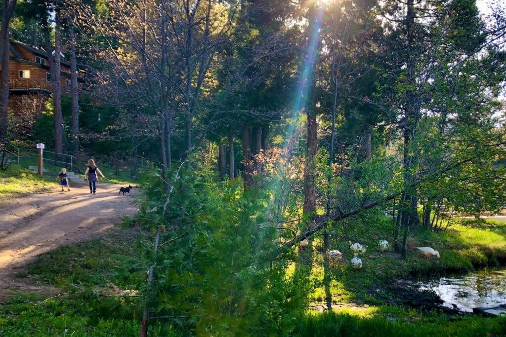 Glimmer Chalet Treetop A-Frame Cabin Lake View Лейк-Эрроухед Экстерьер фото
